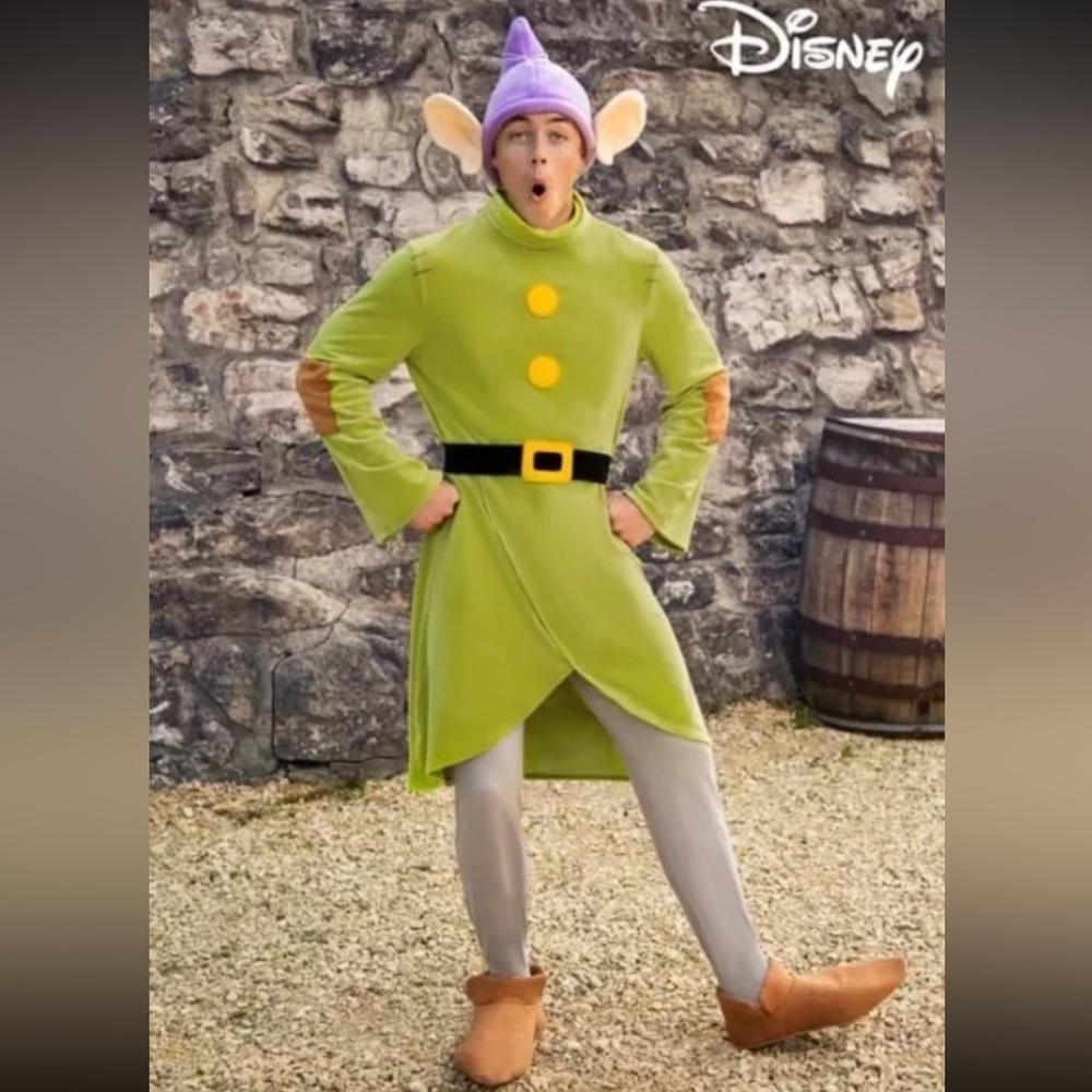 Men’s Dopey Costume (Large)